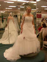 P1010006.JPG (704652 bytes)