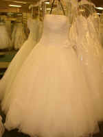 P1010051.JPG (658800 bytes)