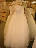 P1010053.JPG (673308 bytes)