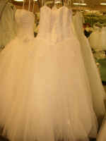 P1010055.JPG (580181 bytes)