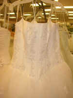 P1010056.JPG (684424 bytes)