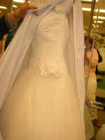 P1010058.JPG (664099 bytes)