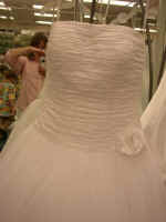 P1010061.JPG (659545 bytes)